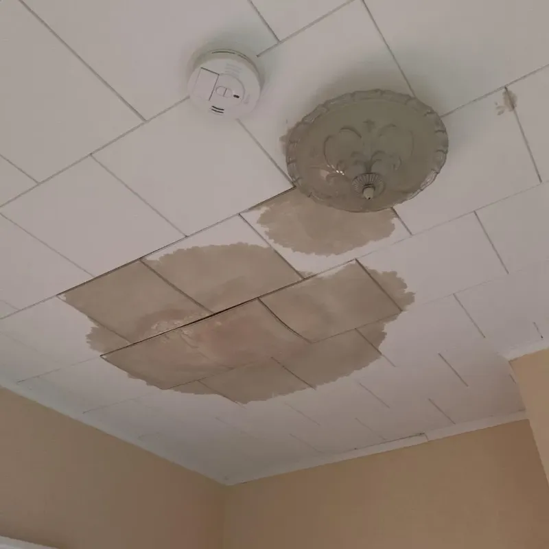 Ceiling Water Damage Repair in Brooktrails, CA