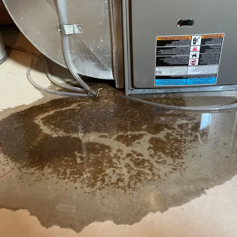 Pipe Burst and Leak Restoration in Brooktrails, CA