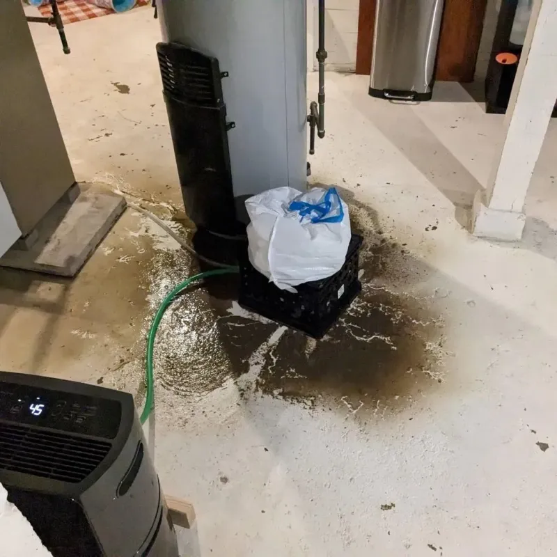 Sewage Backup Cleanup Service in Brooktrails, CA
